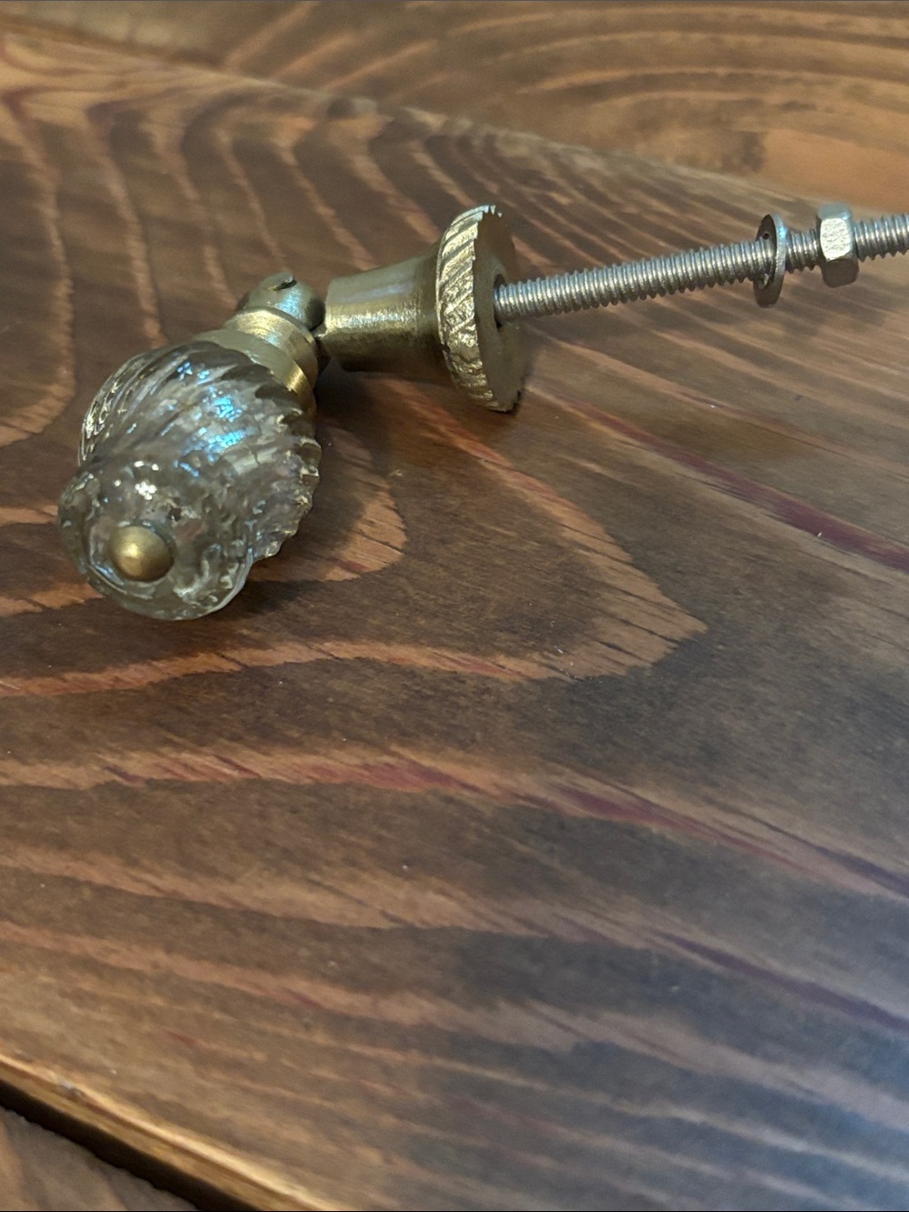 Glass Acorn Drawer Pull Knob in Clear and Antique Brass Anthropologie